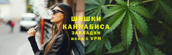 шишки Медвежьегорск