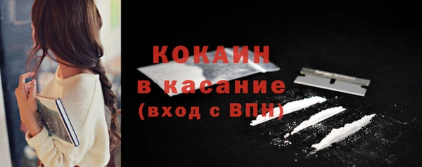гашик Майский