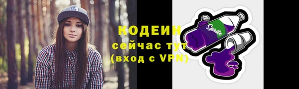 шишки Медвежьегорск