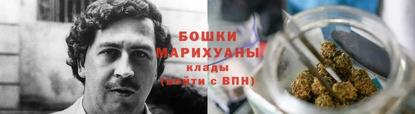 гашик Майский