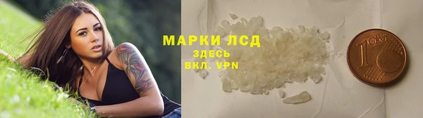 гашик Майский