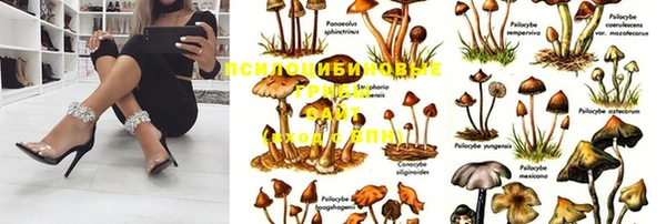 ALPHA PVP Мегион