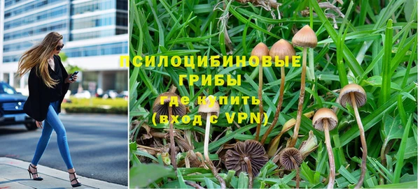ALPHA PVP Магадан